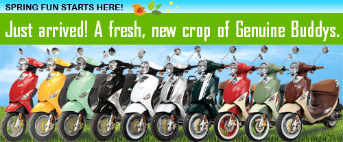 Fresh New Genuine Buddys