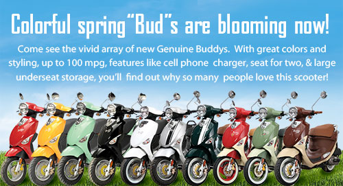 Spring Buddys